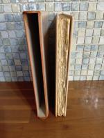 天使　限定155部