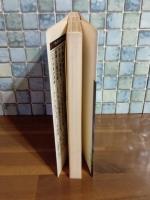 終末期の赤い地球