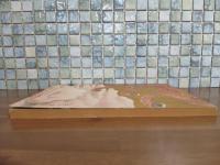 明治天皇御絵巻　講談社の絵本42