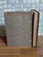 ナチス新鋭文学選集