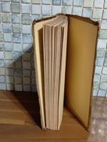 ニジンスキーの舞踏芸術