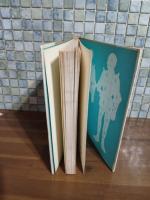 行け帰ることなく・未青年