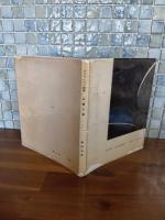 グラフィック詩集石膏の菫　第一詩集