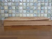 世界乃神秘境アラビヤ縦断記