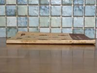 女ばかりの衛生　誠文堂十銭文庫　発禁本