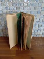 キノコノキノスケ　サザナミ　オトギ　エブンコ