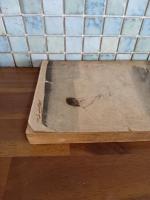 隠密綺談隼と小六