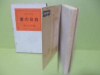 長編小説白日の書