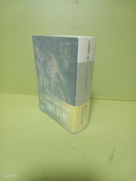 海洋冒険魔海の秘宝(南洋一郎) / 文庫櫂 / 古本、中古本、古書籍 海洋冒険魔海の秘宝(南洋一郎) / 文庫櫂 / 古本、中古本、古書籍