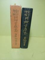 訂正増補川柳吉原志