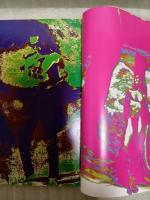芸術生活　1月号　色彩版薔薇刑（細江英公・被写体三島由紀夫）
