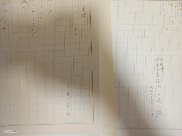 昭61「白鳥省吾の詩とその生涯」白鳥省吾集編集委員会編 246P