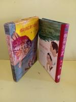 南の浜にあつまれ　東都書房少年少女小説