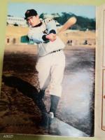 週刊朝日　臨時増刊　プロ野球付両リーグ選手名鑑