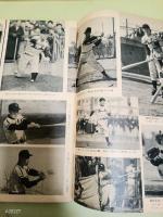 週刊朝日　臨時増刊　プロ野球付両リーグ選手名鑑