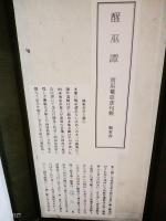 醒巫譚　あるいはあとのまつり　特装版