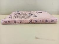 大陸の若鷹　山口将吉郎挿絵