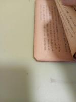 蜜月・幸福　山本文庫