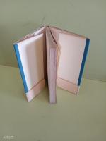 現代小説は古典たり得るか