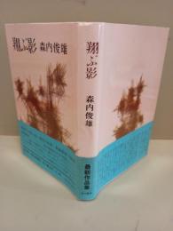翔ぶ影