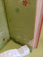 御洒落狂女　全3冊揃