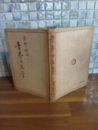 青春の文学