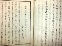 かりの行かひ