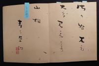 俳諧墨蹟帖　徳田椿堂（伊賀）、柿坪長斎（大坂）、五春莊井眉、八千坊屋烏（大坂）、花屋庵藤井鼎佐（大坂）、鶴田卓池（名古屋）、桂窓万外、ほか全26名　肉筆墨蹟帖