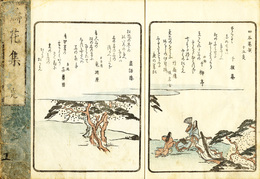 涛花集