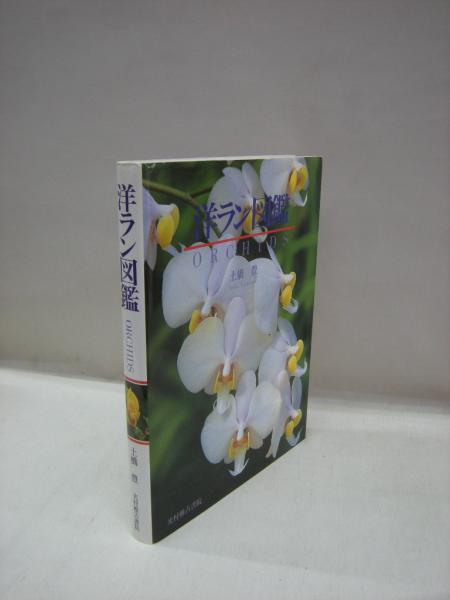 洋ラン図鑑 土橋豊 著 福永懐徳堂南田辺店 古本 中古本 古書籍の通販は 日本の古本屋 日本の古本屋 洋ラン図鑑 土橋豊 著 福永懐徳堂南田辺店 古本 中古本 古書籍の通販は 日本の古本屋 日本の古本屋