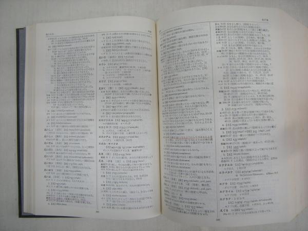 旧約新訳 聖書語句大辞典-