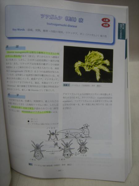 獣医感染症 カラーアトラス 第2版(見上彪 監修) / 古本、中古本、古 