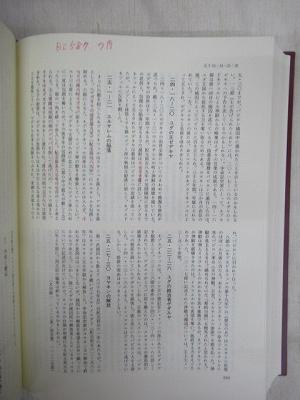 2冊セット】新共同訳 新約聖書注解 (Ⅰ・Ⅱ) 全2巻セット 人文/社会 