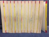 侍ジャイアンツ