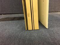 悪霊に魅入られた女