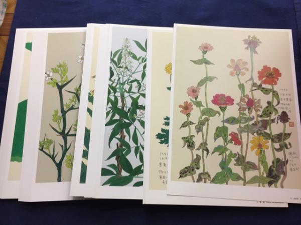 草花百点(門脇俊一) / 古本、中古本、古書籍の通販は「日本の古本屋 