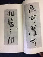清　八大山人作品集