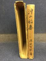 沖の稲妻