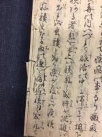 朱雀經驗　養生辨