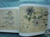 板谷波山素描集　全6巻揃