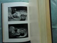 中国仏教彫刻史研究