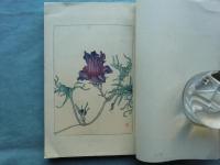 朝顔圖説と培養法