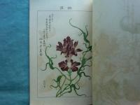 大阪朝顔會々報　大正七年度　十三号