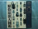 新訂 原色昆虫大図鑑 Ⅱ　甲虫篇