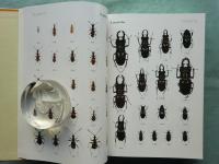 新訂 原色昆虫大図鑑 Ⅱ　甲虫篇