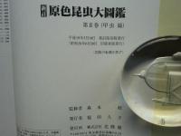 新訂 原色昆虫大図鑑 Ⅱ　甲虫篇