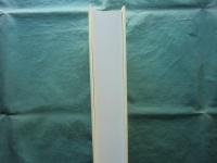 プリンストン数学大全