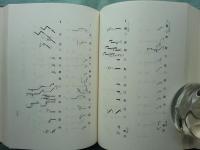 密教思想　高井隆秀教授還暦記念論集