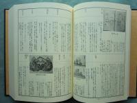 井伊軍志　井伊直政と赤甲軍団