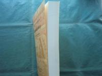 北魏洛陽永寧寺 中国社会科学院考古研究所発掘報告